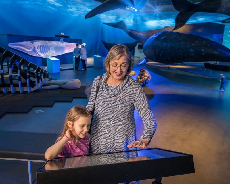 Reykjavik: Whale Watching Tour, Whales of Iceland Exhibition - The guides and spotting tips: how the hunt becomes easier