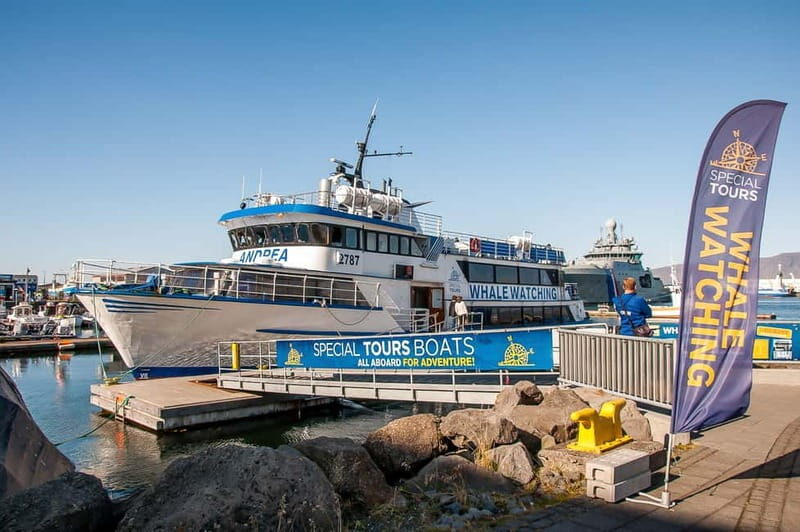 Reykjavik: Whale Watching Tour with Expert Guide - The guide’s “where to look” approach in Faxaflói Bay