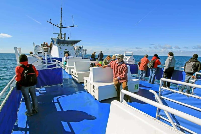 Reykjavik: Whale Watching Tour with Expert Guide - Who should book this whale watching tour?