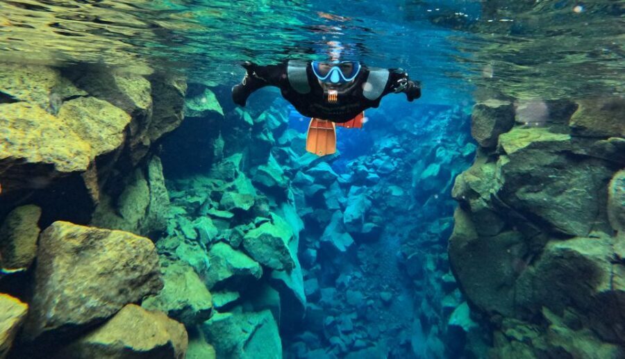 Silfra: Fissure Snorkeling Tour with Underwater Photos - Key highlights that make this tour worth it