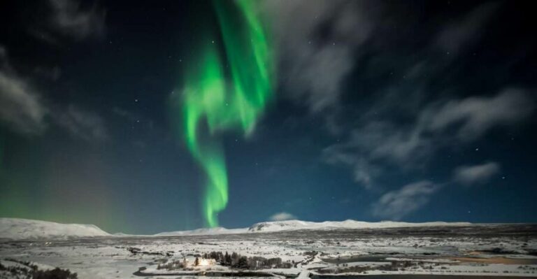 Small-Group Premium Northern Lights Tour from Reykjavik - What 4 Hours Actually Means Once Pickup Starts