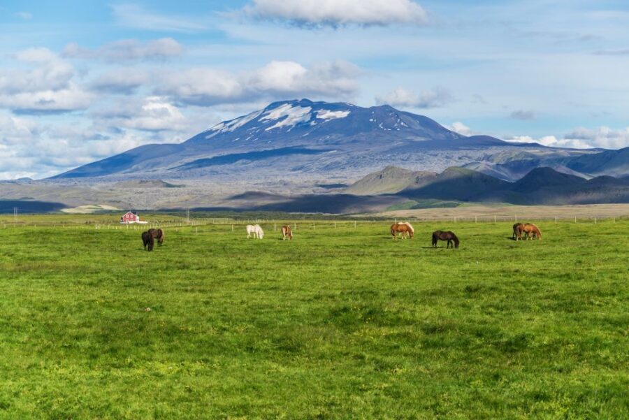 South Coast Classic: Full-Day Tour from Reykjavik - Key things to know before you go