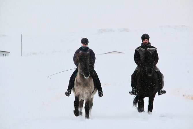 The Viking Horse Riding Experience in North Iceland - The 1.5-Hour Winter Ride: Snow Trails, River Moments, and a Waterfall Turnaround