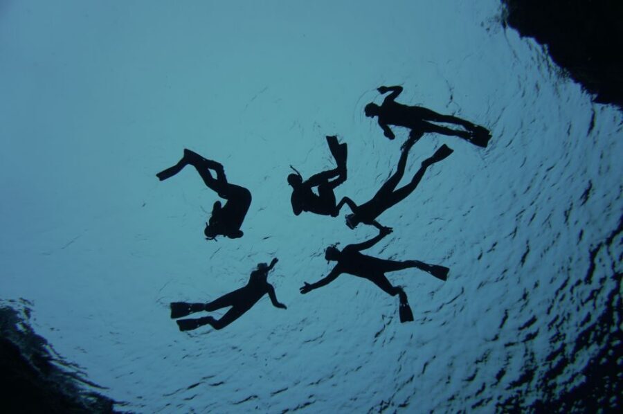Thingvellir: Silfra Freedive Adevnture with a Guide - Timing, Group Size, and the Value of a Small Setup