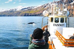 Whale Watching in Husavik - The 3-hour flow: what happens from check-in to return