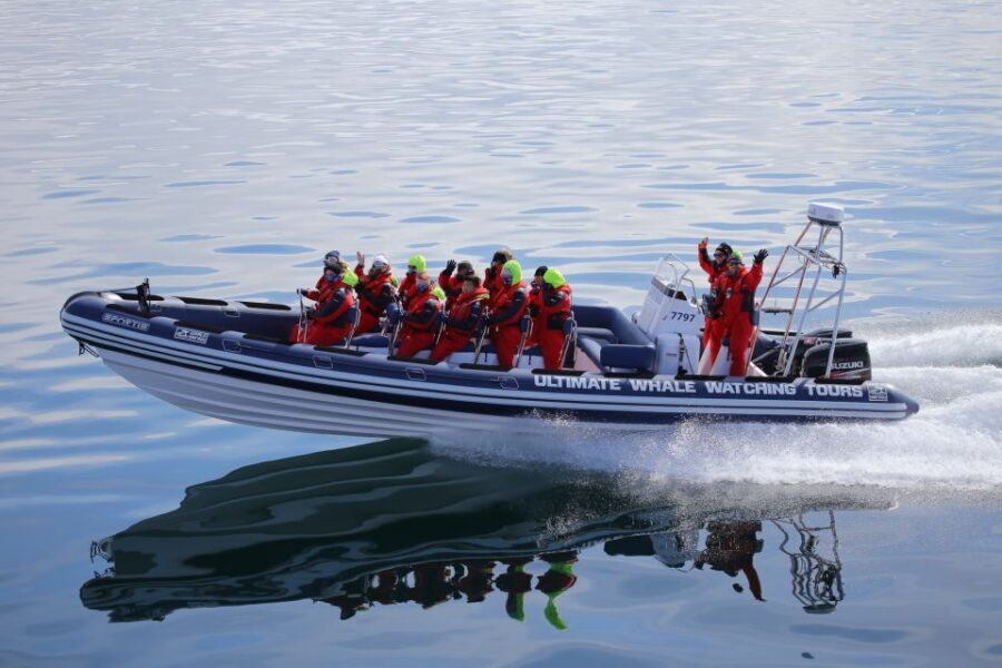Whale Watching in Reykjavik by Speedboat - Getting Set: Old Harbour Meet-Up and a Practical First Briefing