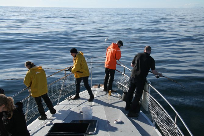 Reykjavik Sea Angling Gourmet - Who This Tour Fits Best (And Who Might Be Happier Elsewhere)