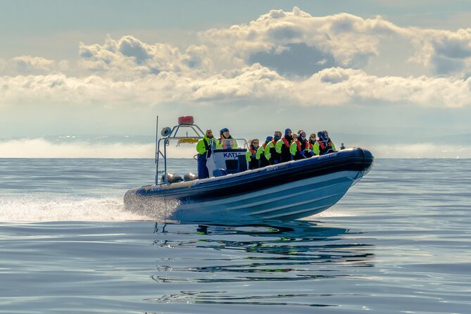 Speedboat Whale Watching Small-Group Tour in Reykjavik - Meet at Special Tours and Get There Early, Even If You’re On Time